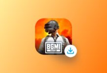 Download BGMI
