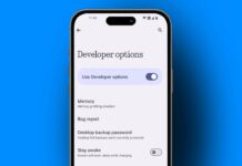 Enable Android Developer Settings